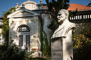 Budakeszi határában az általa létrehozott intézet és udvarán a szobra