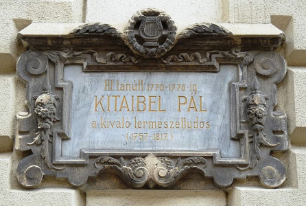 Emléktáblája egykori iskolája falán