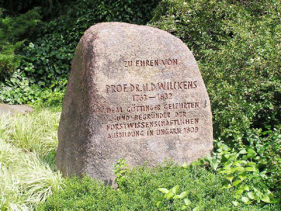 Az 1984-ben felállított Emlékkő a göttingeni egyetem parkjában