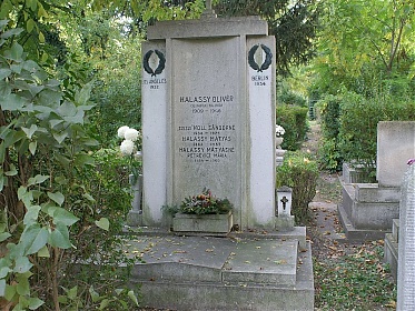 Sírja a Megyeri temetőben